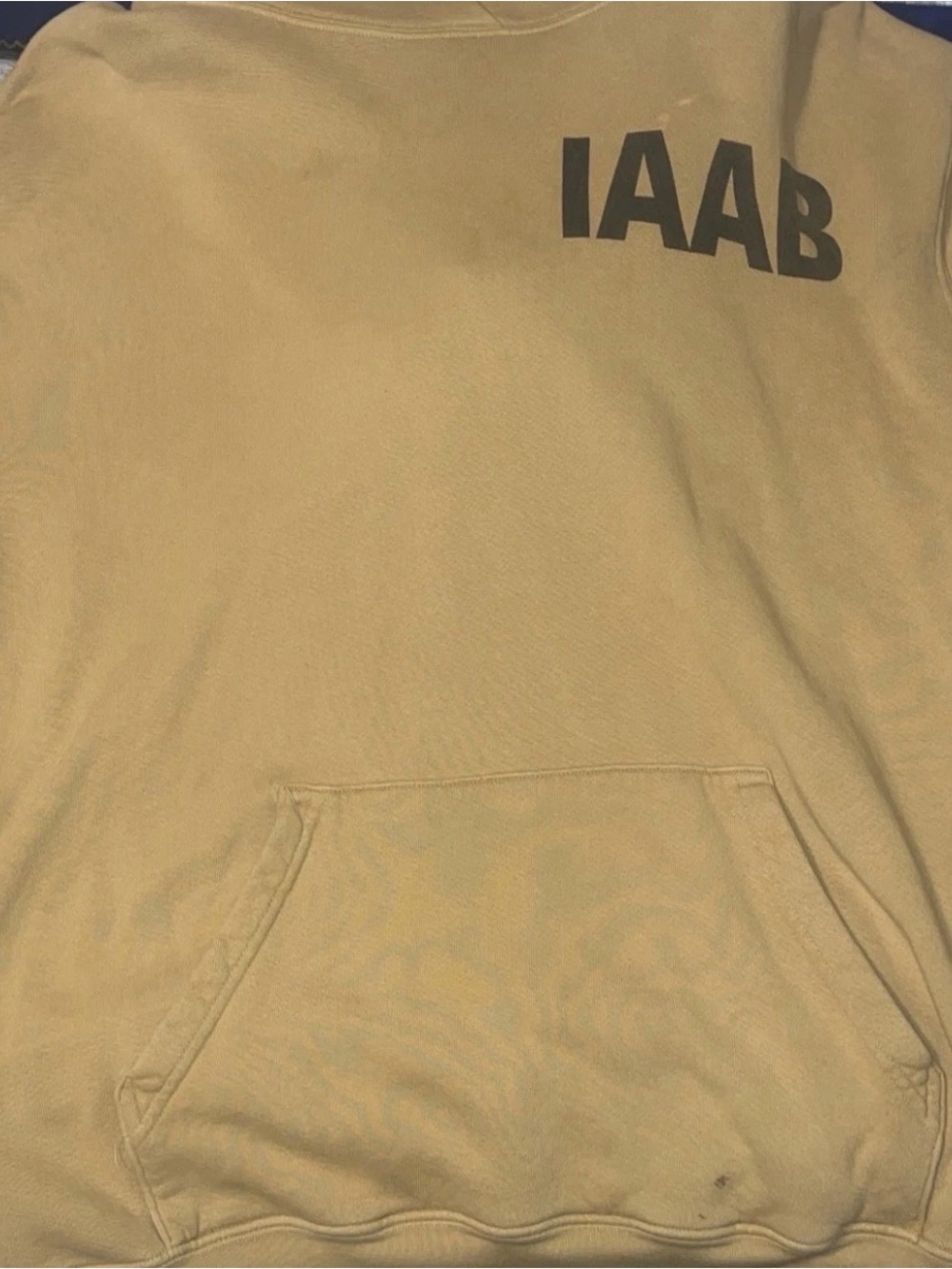 IAAB Drake Tour Merch Hoodie